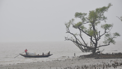 sundarban tour packages