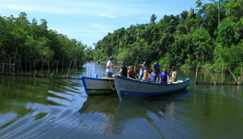 sundarban tour