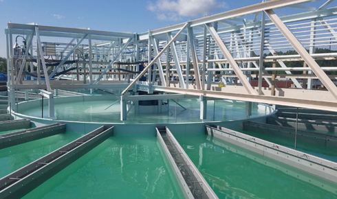 Three Cities, One Conversation: How Local Water Stories Shape Everyday Life in Central Florida